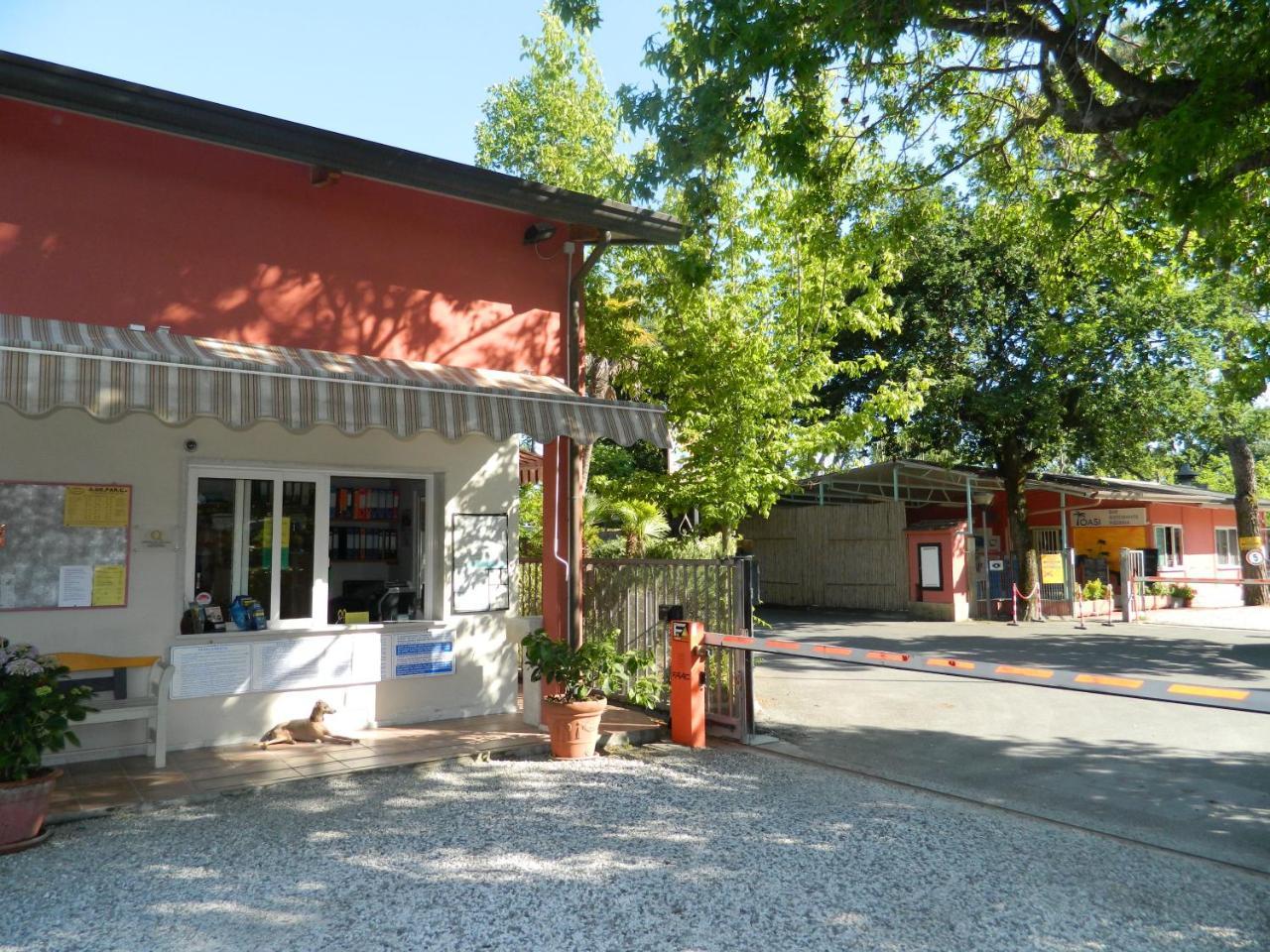 Camping Oasi 马里纳迪马萨 外观 照片